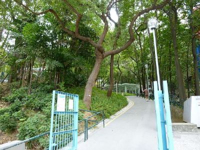 中葵涌公园