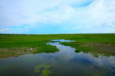 哈巴河县阿克齐国家湿地公园