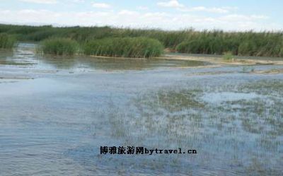 柴达木河流域湿地