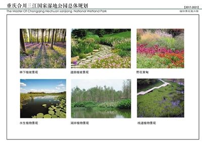重庆合川三江国家湿地公园