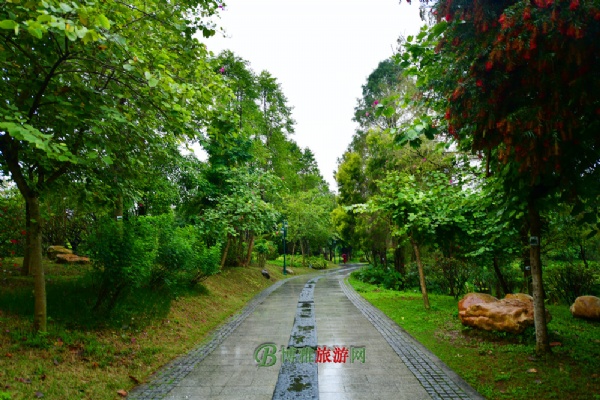 广州海珠国家湿地公园（海珠湿地公园）