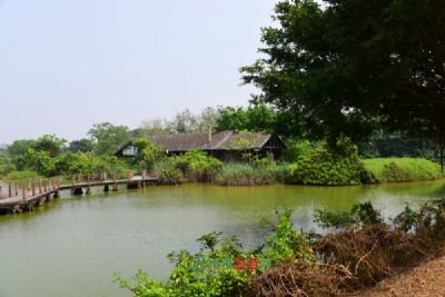 仙桃沙湖国家湿地公园