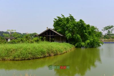 陈巴尔虎陶海国家湿地公园