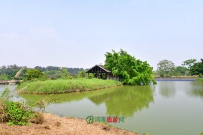 葫芦岛龙兴国家湿地公园