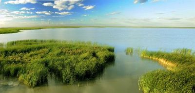 安达古大湖国家湿地公园