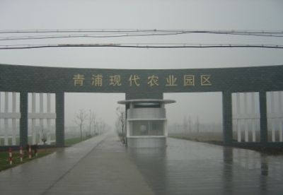 青浦现代农业园区
