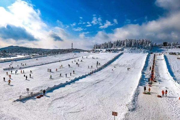 仙女山滑雪场怎么去 具体地址
