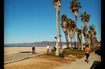 Venice Beach Bike Tours
